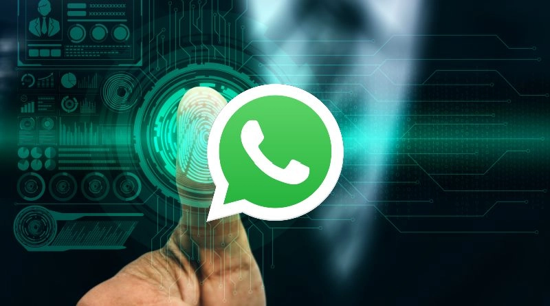 Cómo exportar un chat de WhatsApp con todos sus archivos