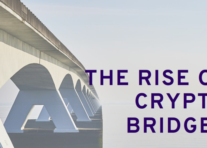 The Rise of Crypto Bridges: Connecting Blockchains and Unlocking Cross-Chain Possibilities