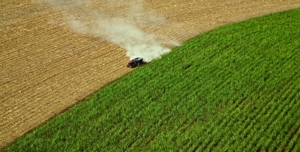 Del Mar Energy, a leading participant in the energy industry, is pleased to announce the launch of a partnership program with local farmers for the production of biofuel.